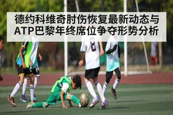 德约科维奇肘伤恢复最新动态与ATP巴黎年终席位争夺形势分析 - KaiBao Sports